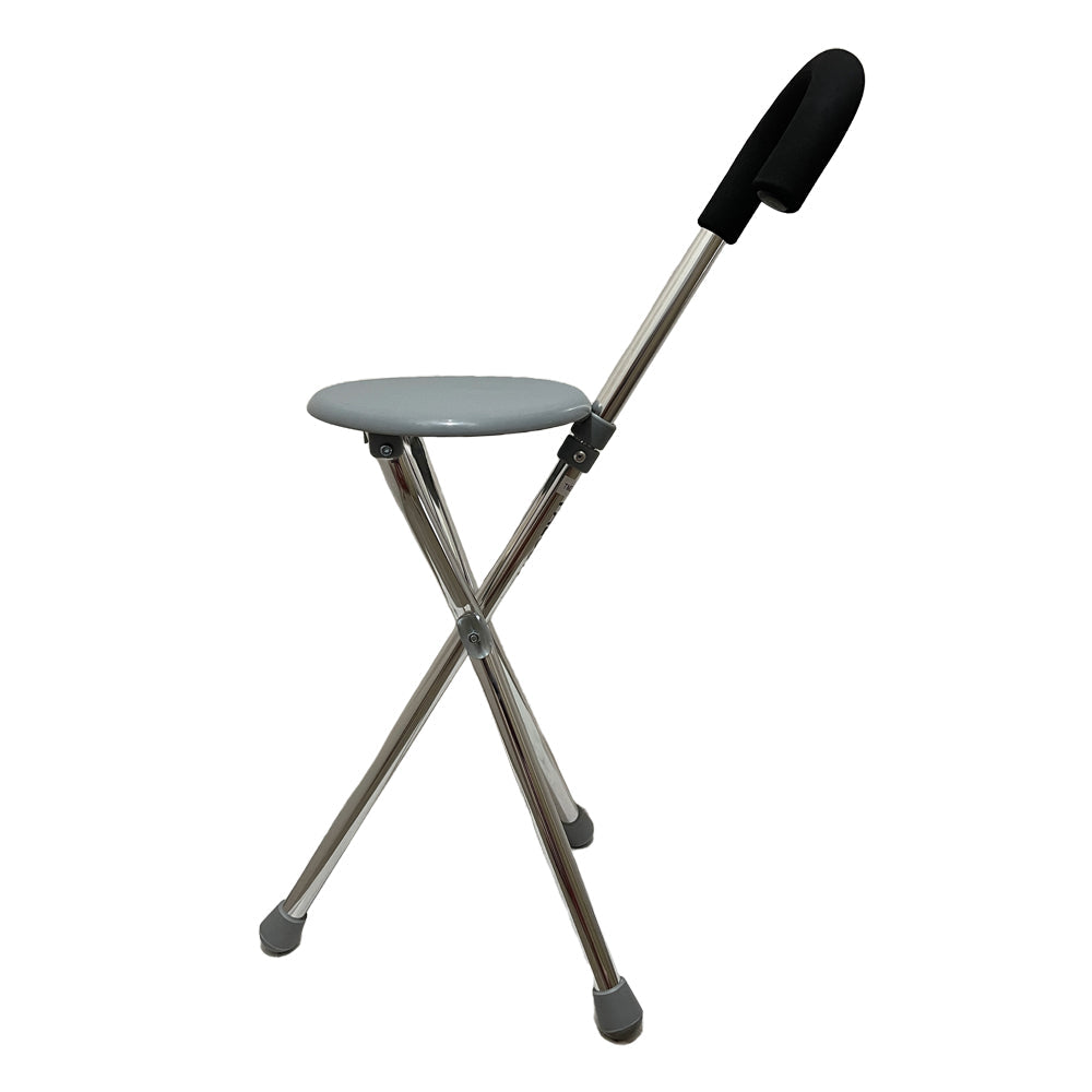 Falcon Walking Stick with Seated