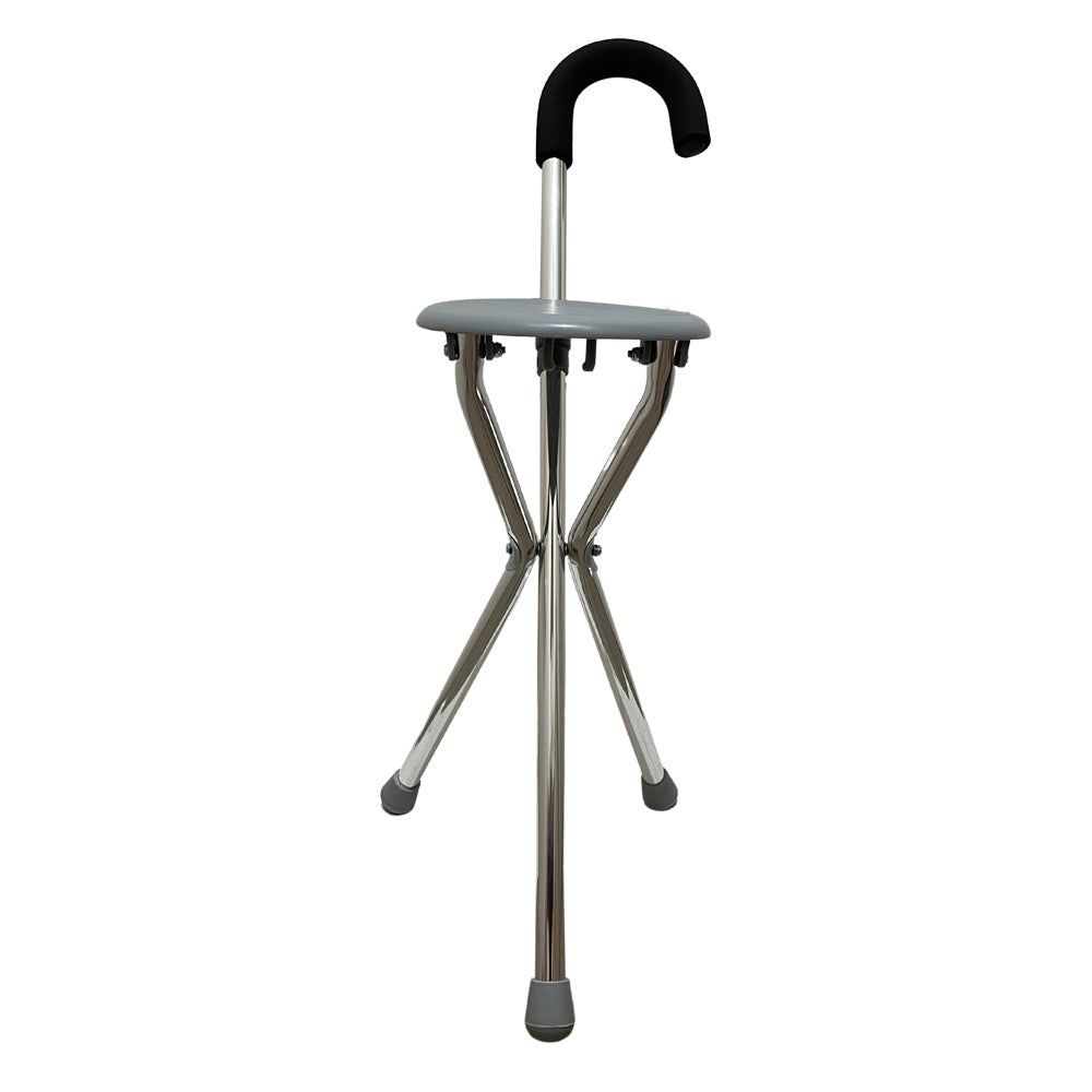 Falcon Walking Stick with Seated