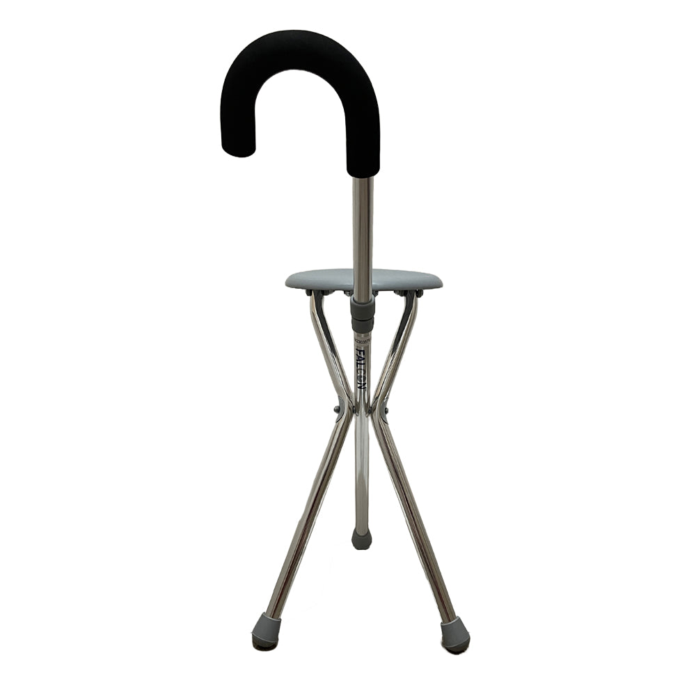 Falcon Walking Stick with Seated