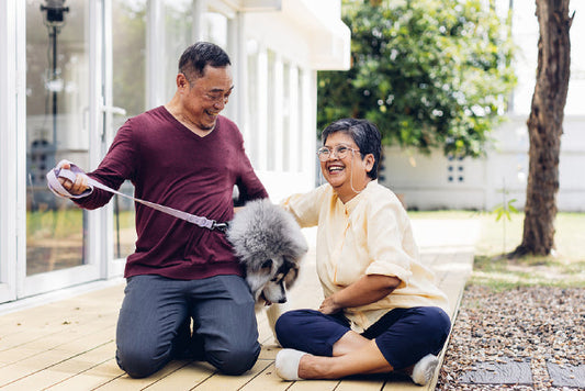 Benefits of Pet Companionship for Ageing Loved Ones