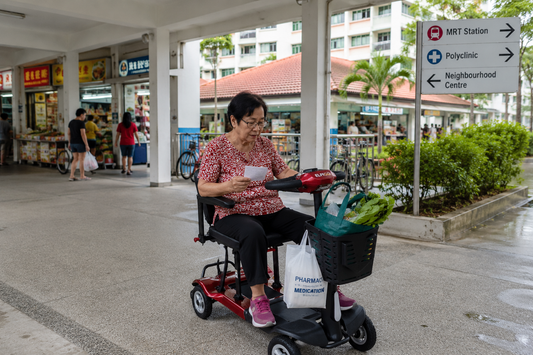 Multiple Short Trips vs Single Purposeful Journeys: Understanding Two Very Different Mobility Scooter Ownership Experiences in Singapore