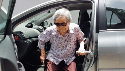 Stander Metro Car Handle for Elderly Persons | The Golden Concepts